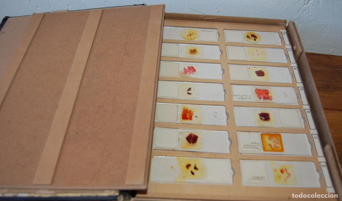 Antig&uuml;edades: PR&Eacute;PARATION MICROSCOPIQUES - Foto 6