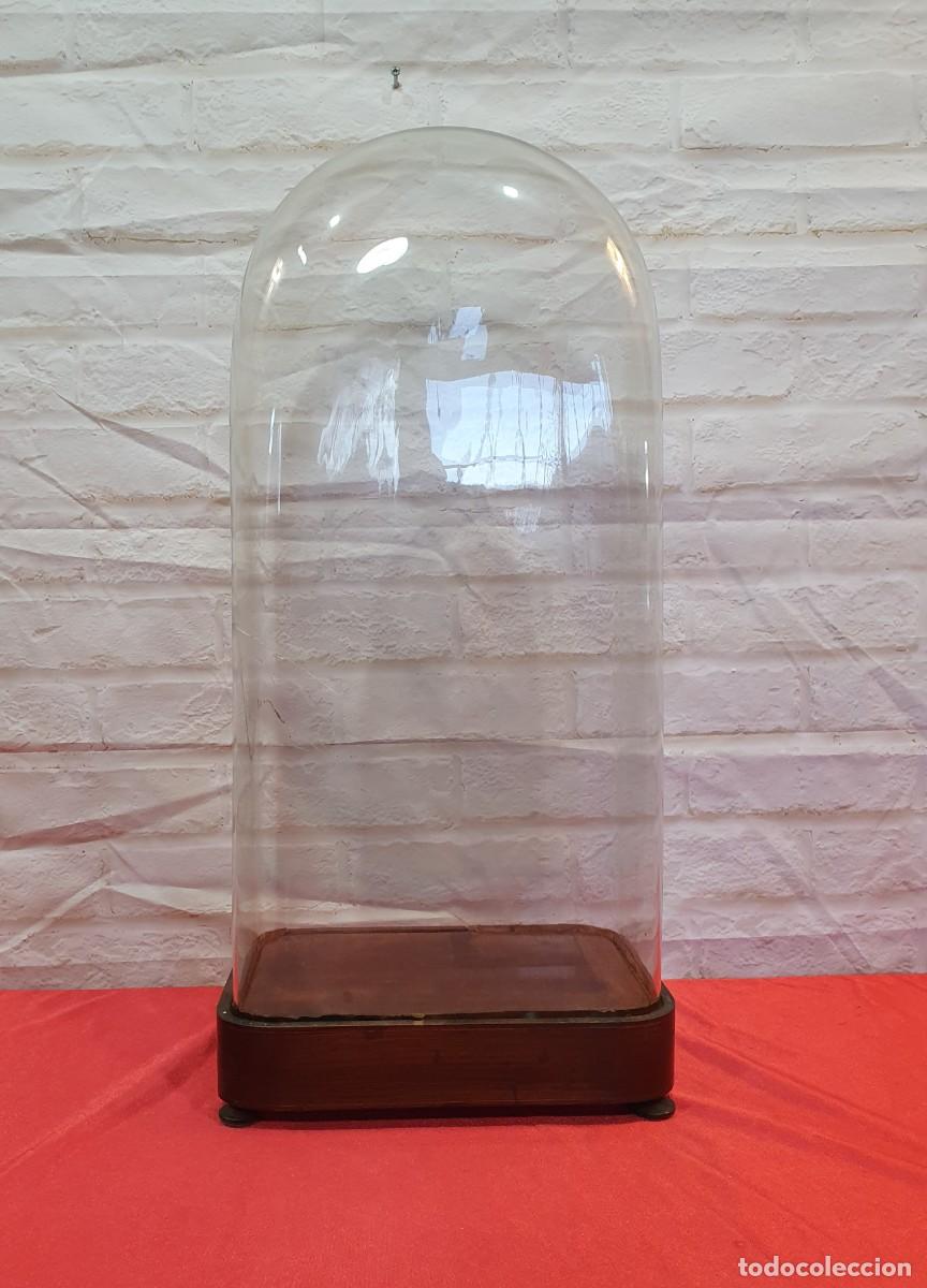 Antig&uuml;edades: Gran fanal cristal y madera - Foto 1