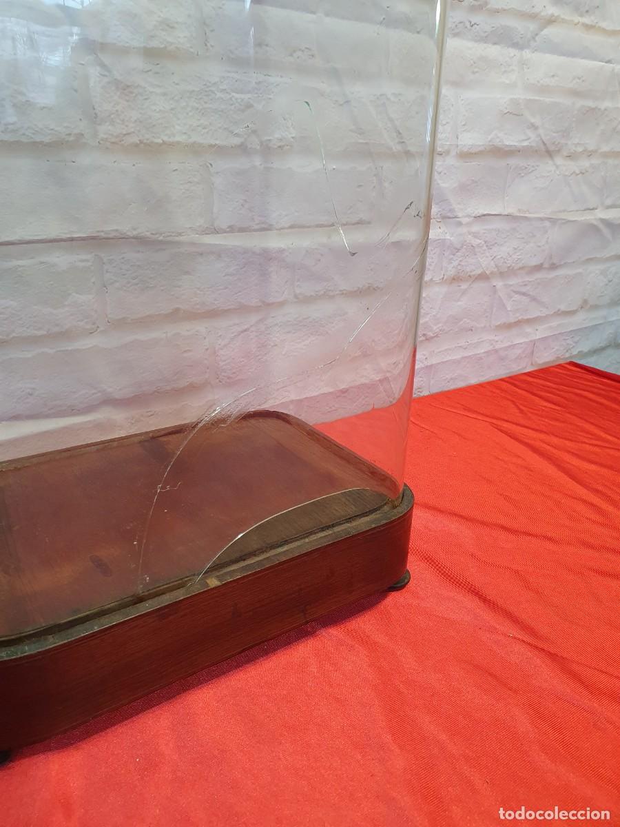 Antig&uuml;edades: Gran fanal cristal y madera - Foto 2