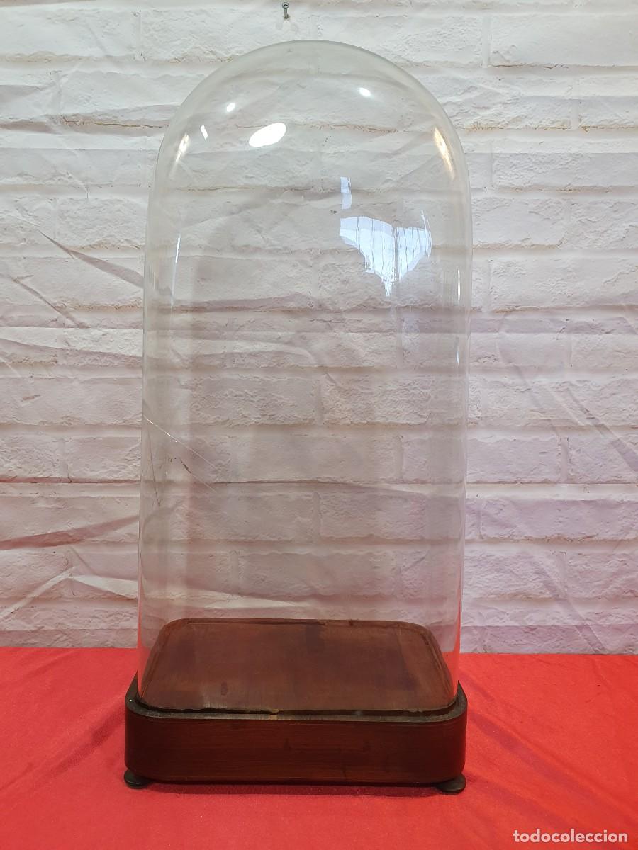Antig&uuml;edades: Gran fanal cristal y madera - Foto 3