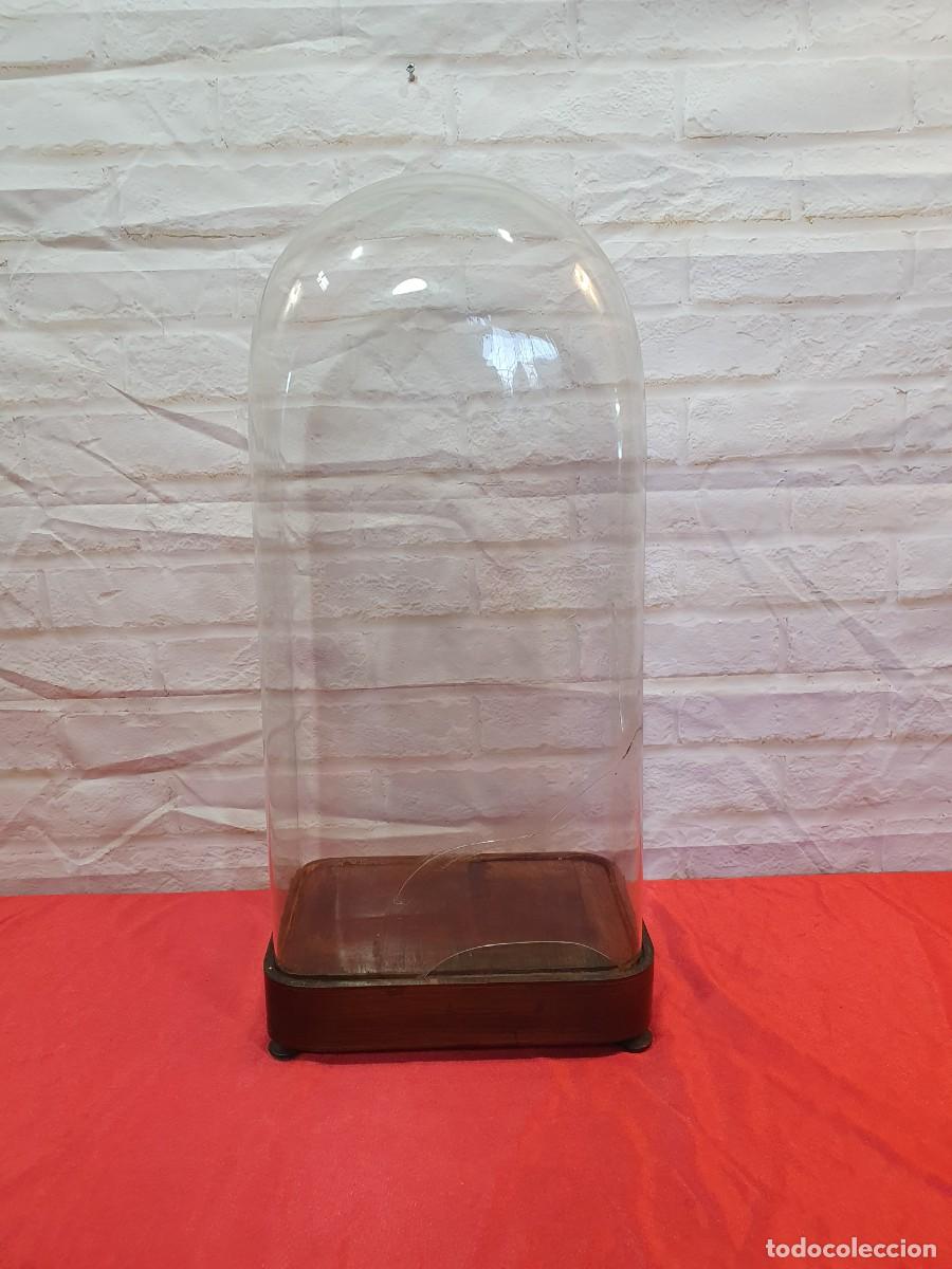 Antig&uuml;edades: Gran fanal cristal y madera - Foto 5