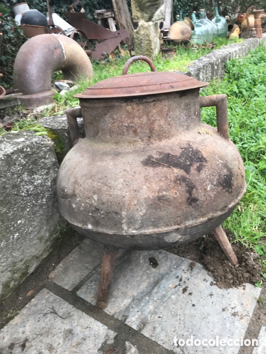 Antig&uuml;edades: Pote gallego - Foto 1