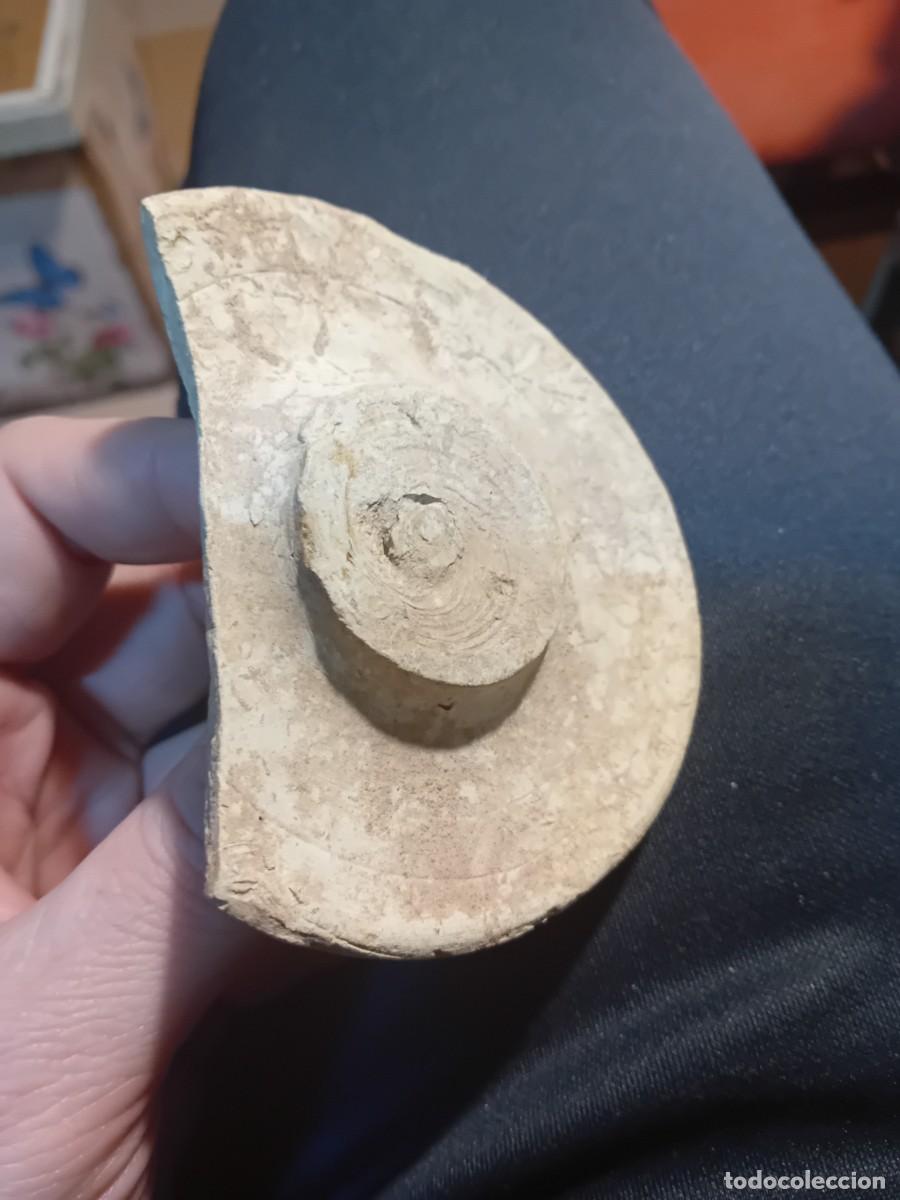 Antig&uuml;edades: Tapa de recipiente de &eacute;poca medieval - Foto 2