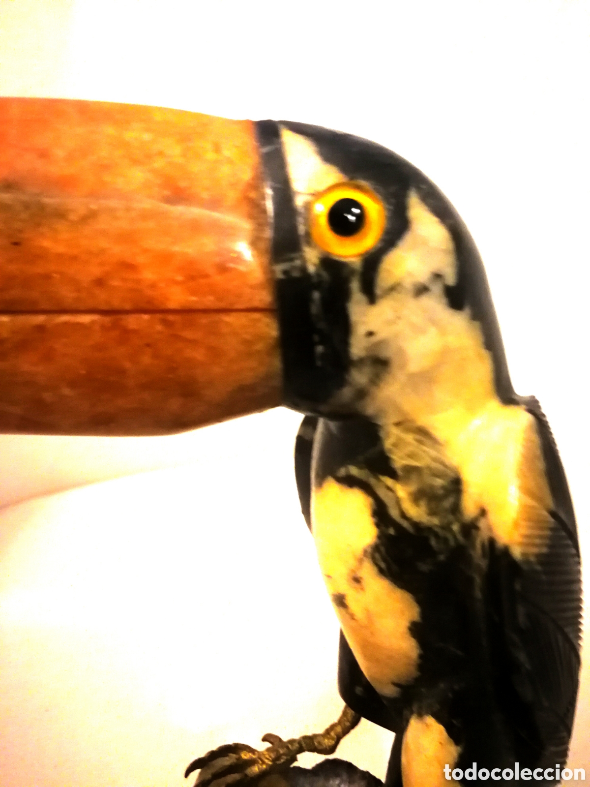 Antig&uuml;edades: Escultura TUCANO - Foto 1