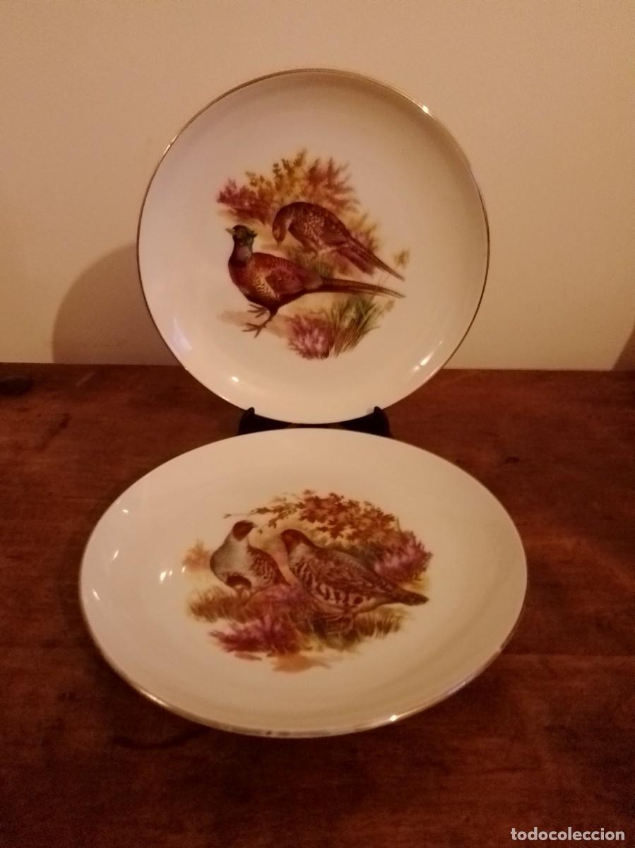 Antiques: Pareja platos MAH VIGO. Santa clara