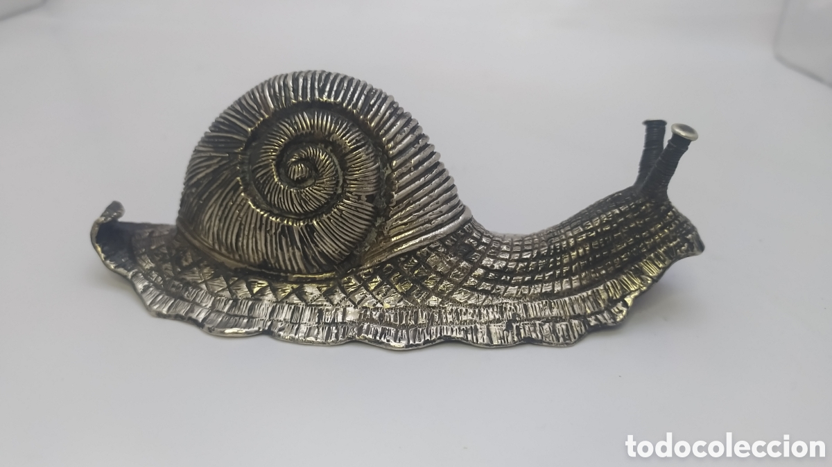 Antig&uuml;edades: Caracol de plata Cus&iacute; - Foto 2