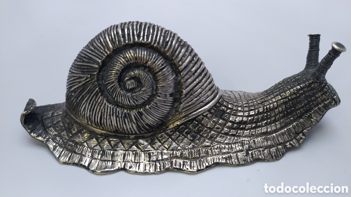 Antig&uuml;edades: Caracol de plata Cus&iacute; - Foto 12