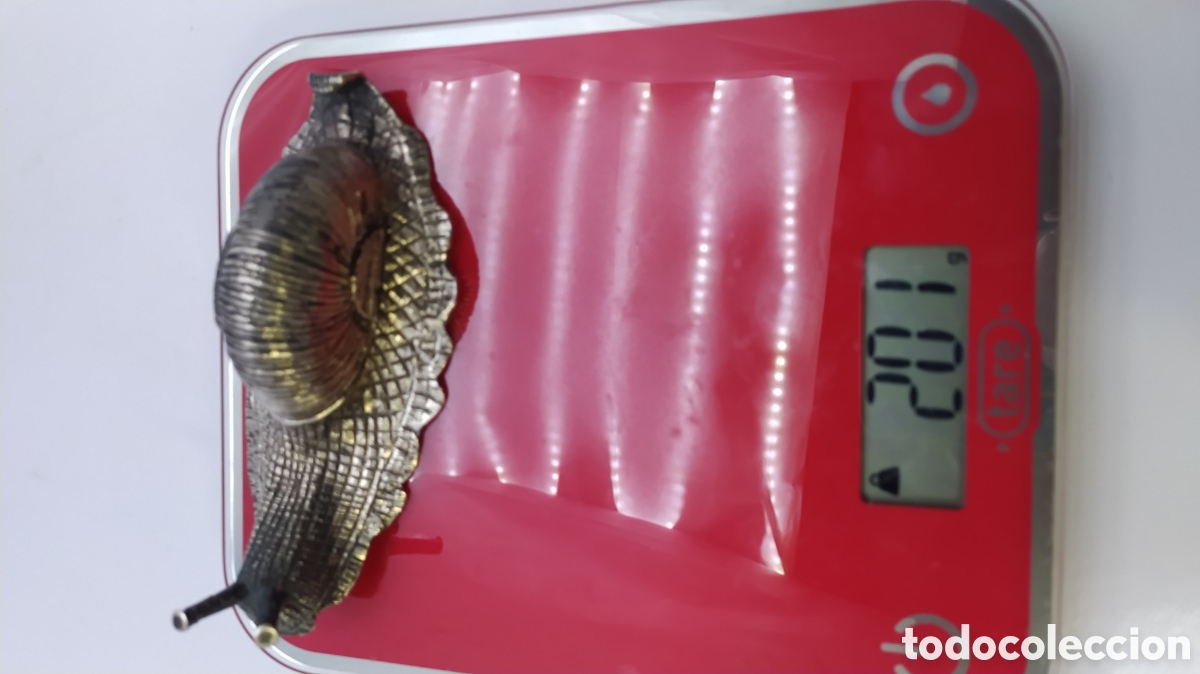 Antig&uuml;edades: Caracol de plata Cus&iacute; - Foto 14