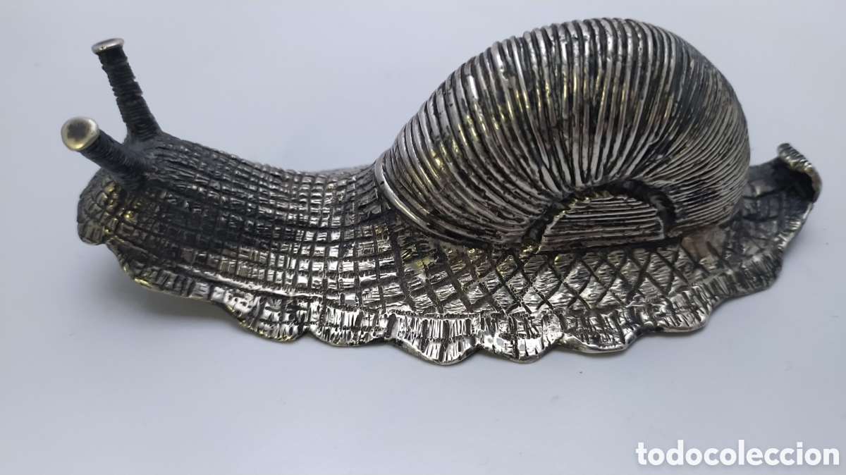 Antig&uuml;edades: Caracol de plata Cus&iacute; - Foto 15