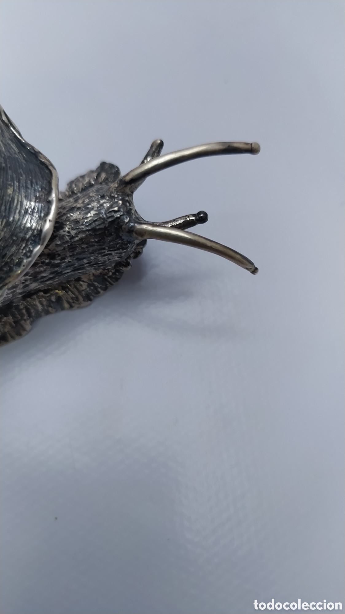 Antig&uuml;edades: Caracol de plata y granito - Foto 18