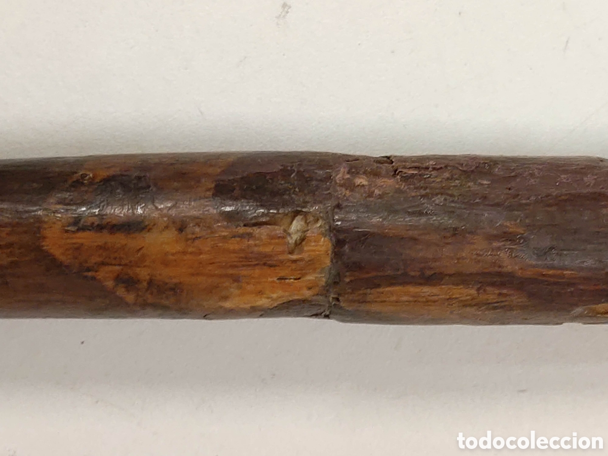 Antig&uuml;edades: Antiguo bast&oacute;n cabeza tallada en madera - Foto 10