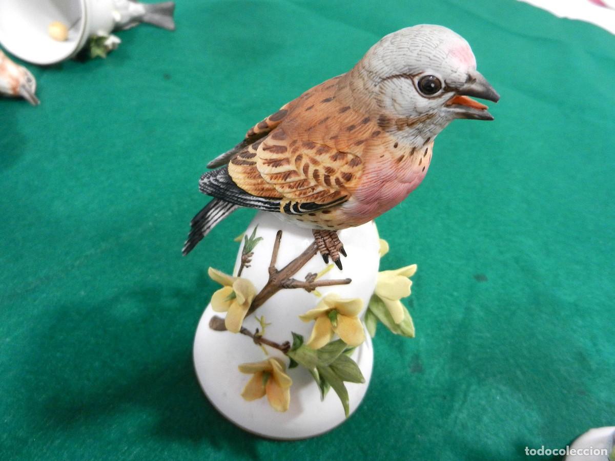 Antig&uuml;edades: Biscuit, porcelana 4 pajaros - Foto 5