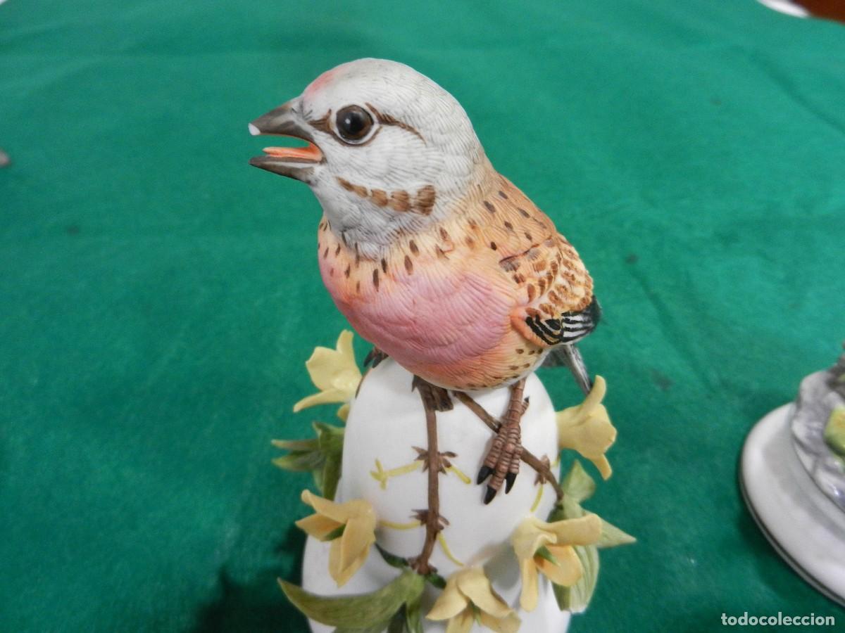 Antig&uuml;edades: Biscuit, porcelana 4 pajaros - Foto 11