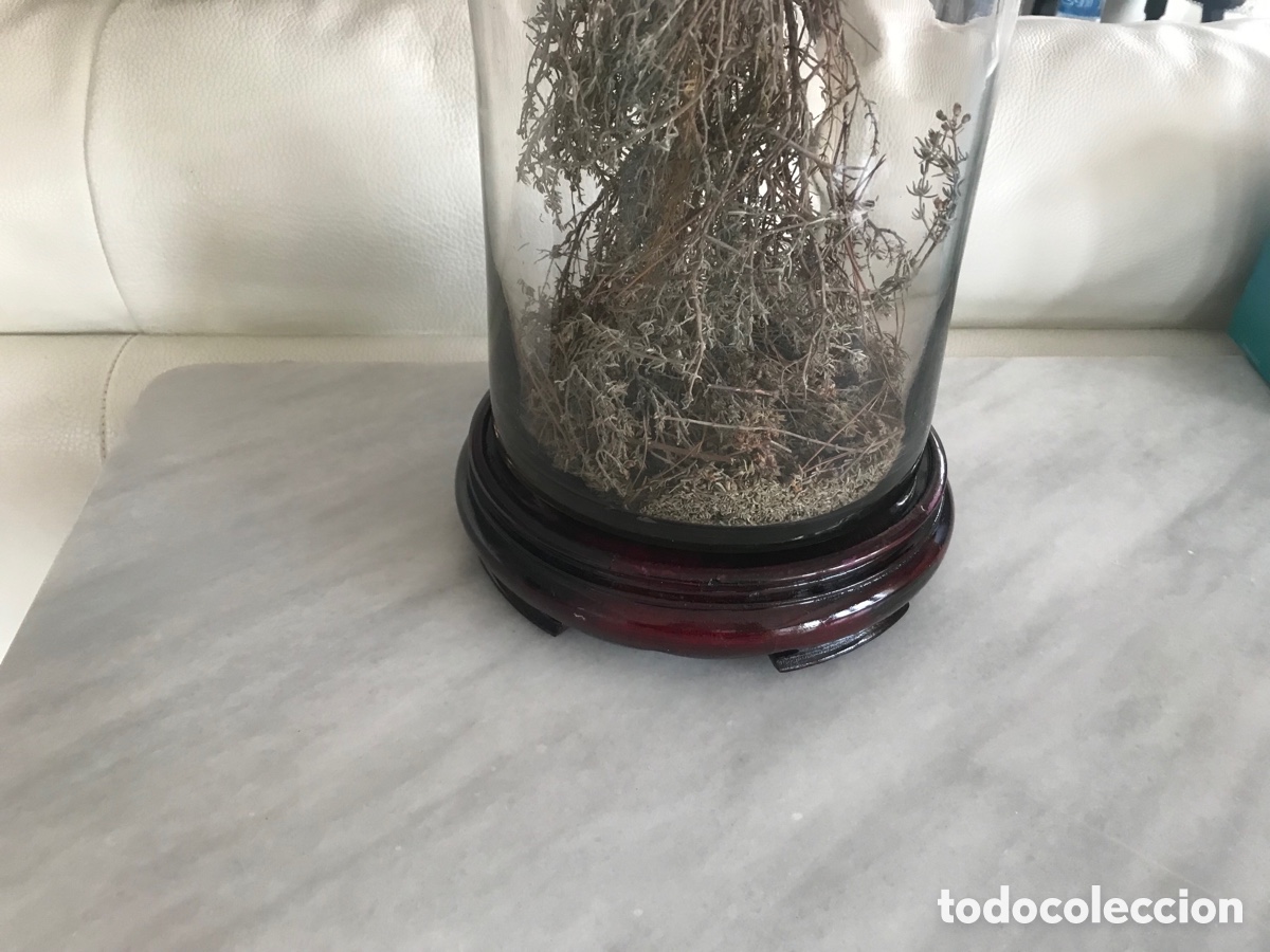 Antig&uuml;edades: Peana de madera tallada antigua - Foto 4