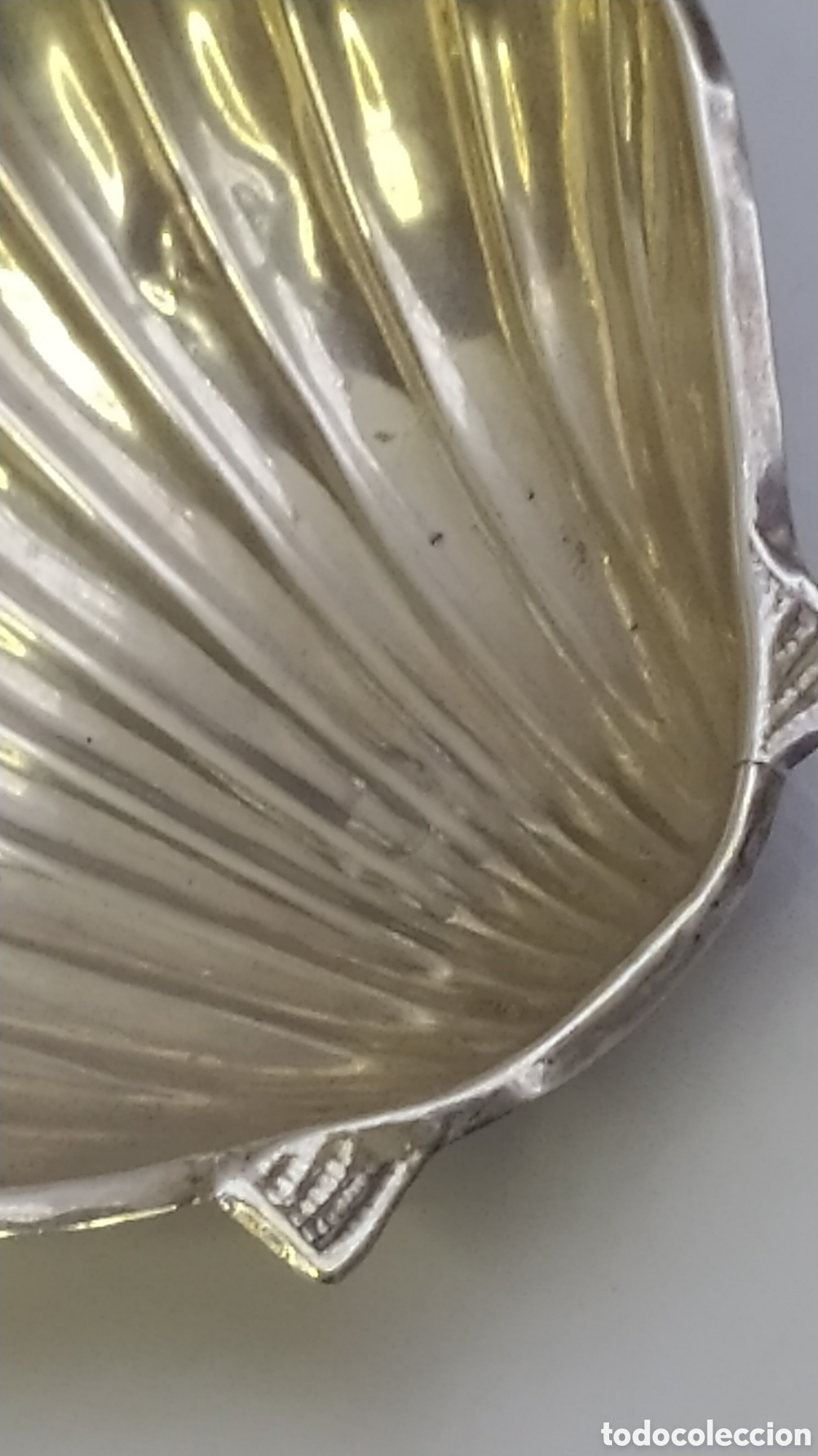 Antig&uuml;edades: Conchas de plata de ley - Foto 10