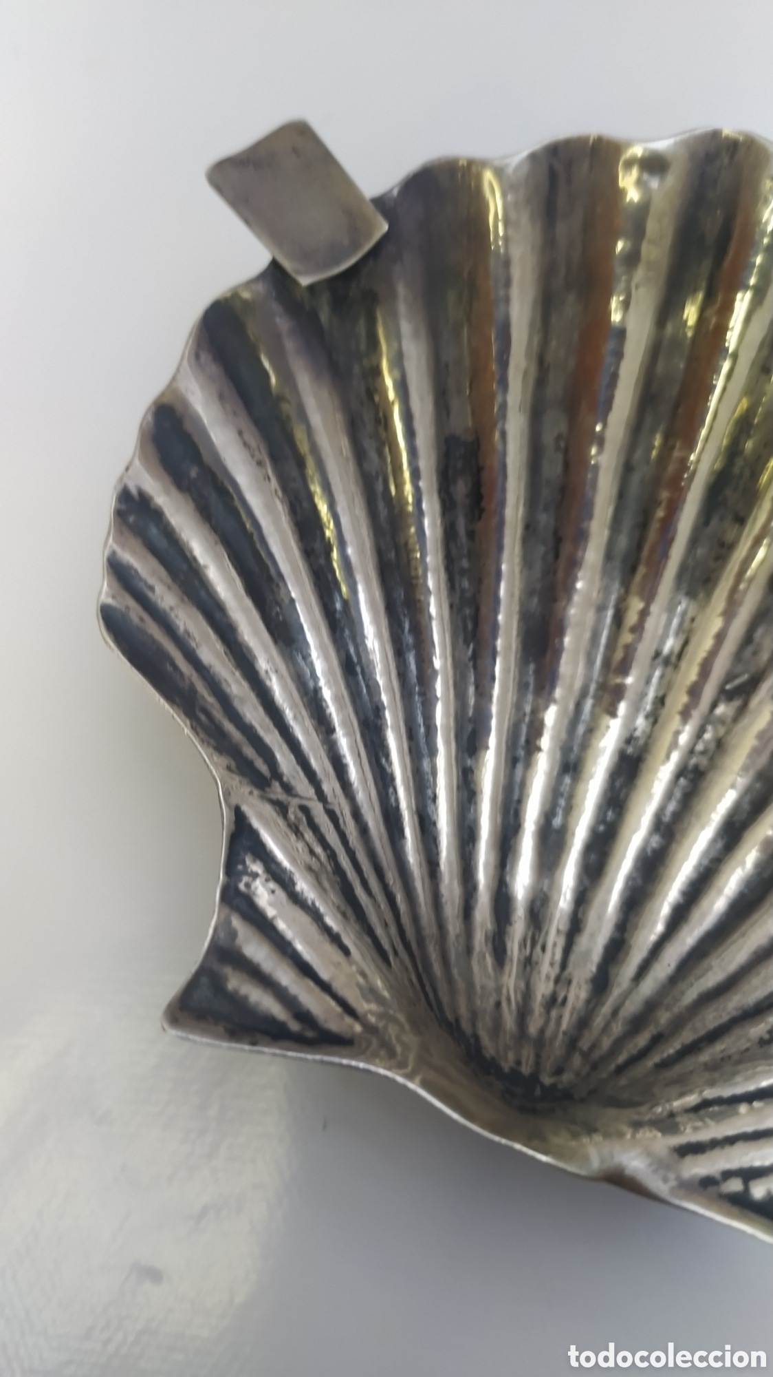 Antig&uuml;edades: Conchas de plata de ley - Foto 11