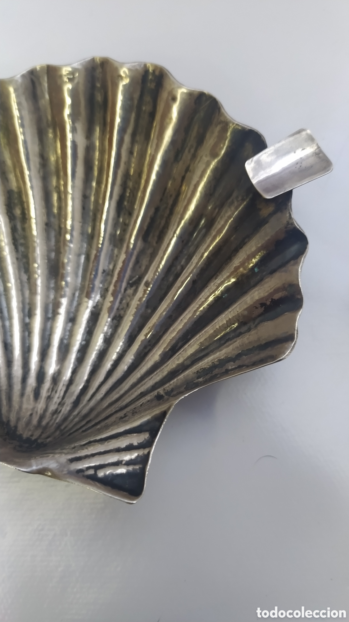 Antig&uuml;edades: Conchas de plata de ley - Foto 12