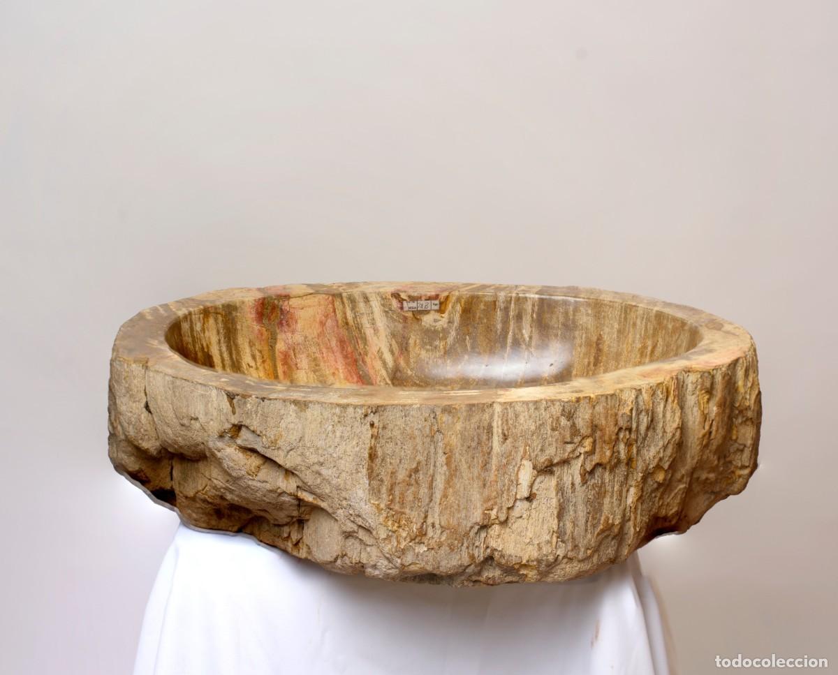 Antig&uuml;edades: Lavado de madera petrificada - Foto 1