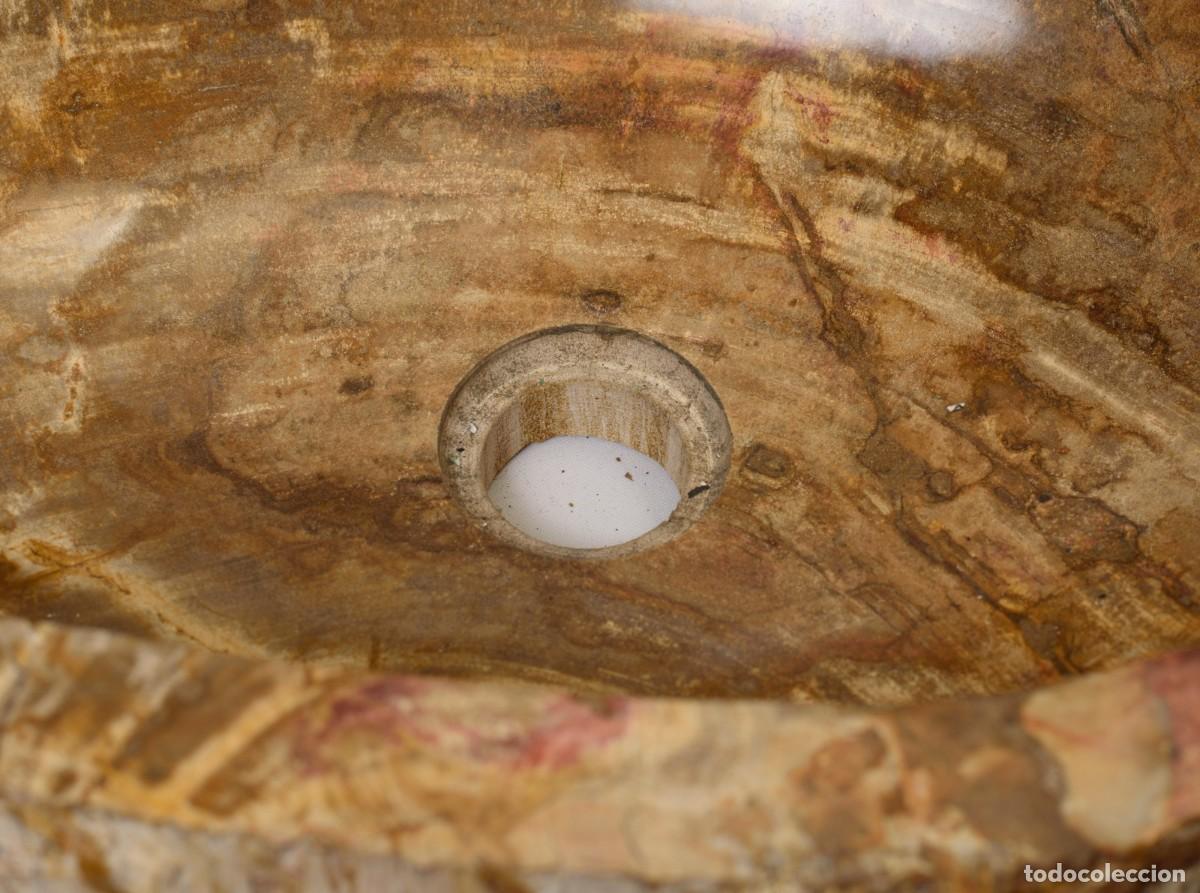 Antig&uuml;edades: Lavado de madera petrificada - Foto 2