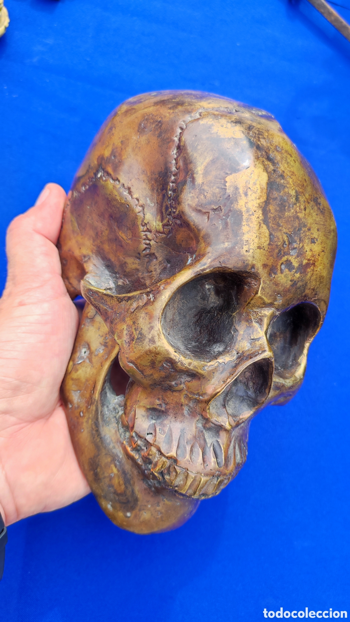 Antig&uuml;edades: Excepcional calavera de bronce - Foto 2