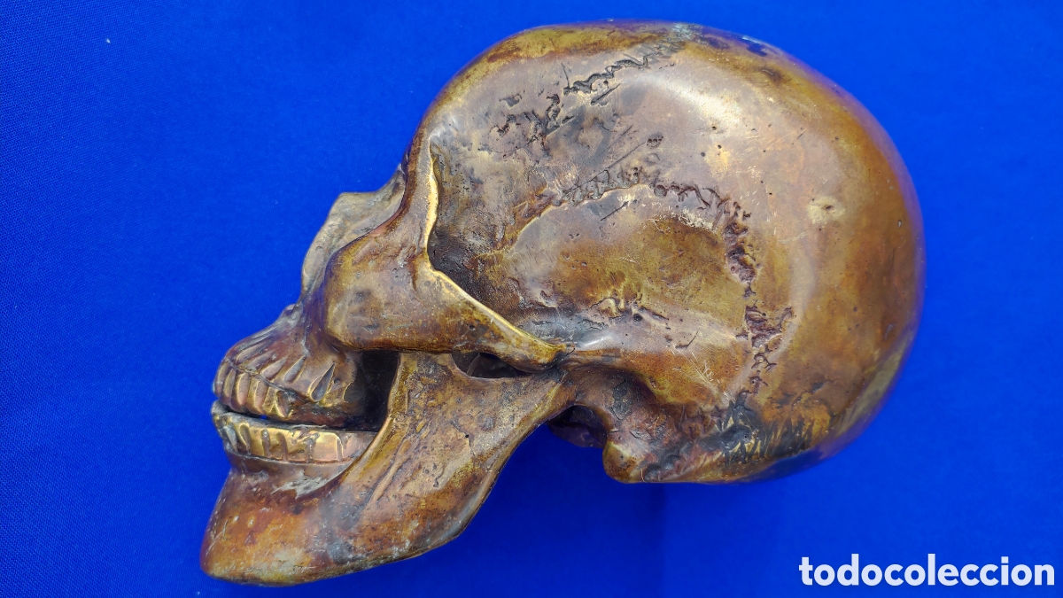 Antig&uuml;edades: Excepcional calavera de bronce - Foto 3