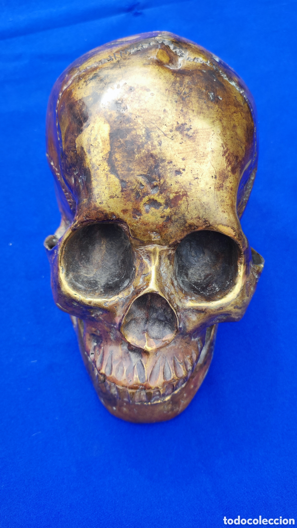 Antig&uuml;edades: Excepcional calavera de bronce - Foto 4