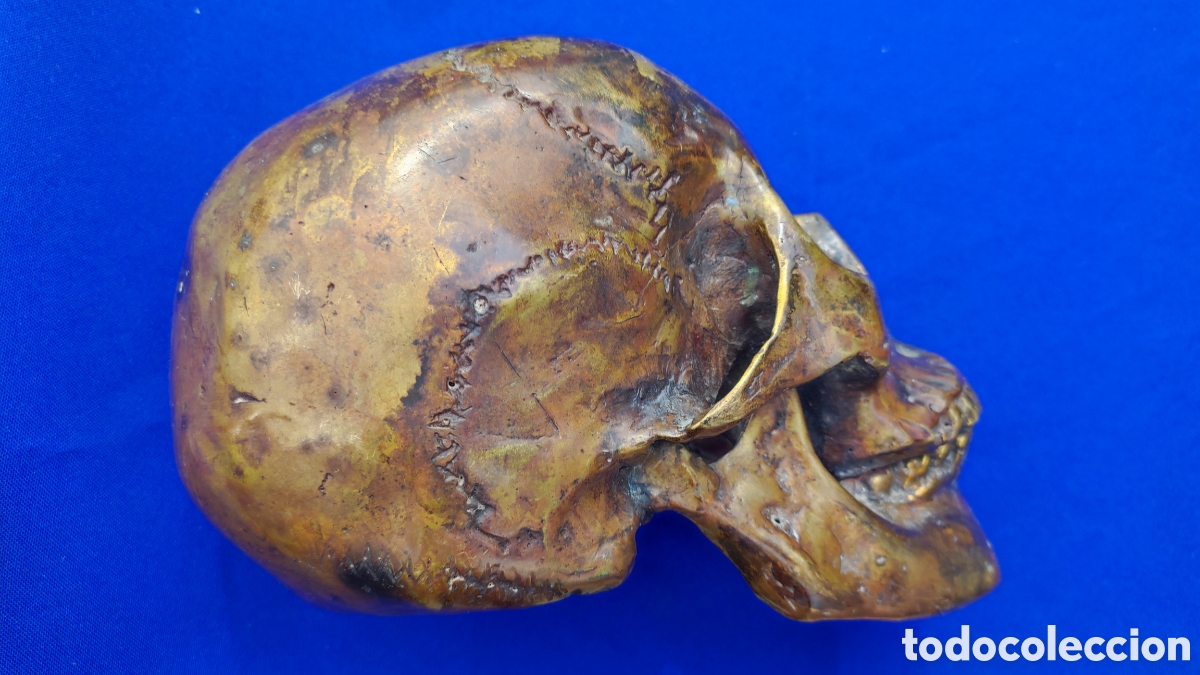 Antig&uuml;edades: Excepcional calavera de bronce - Foto 6