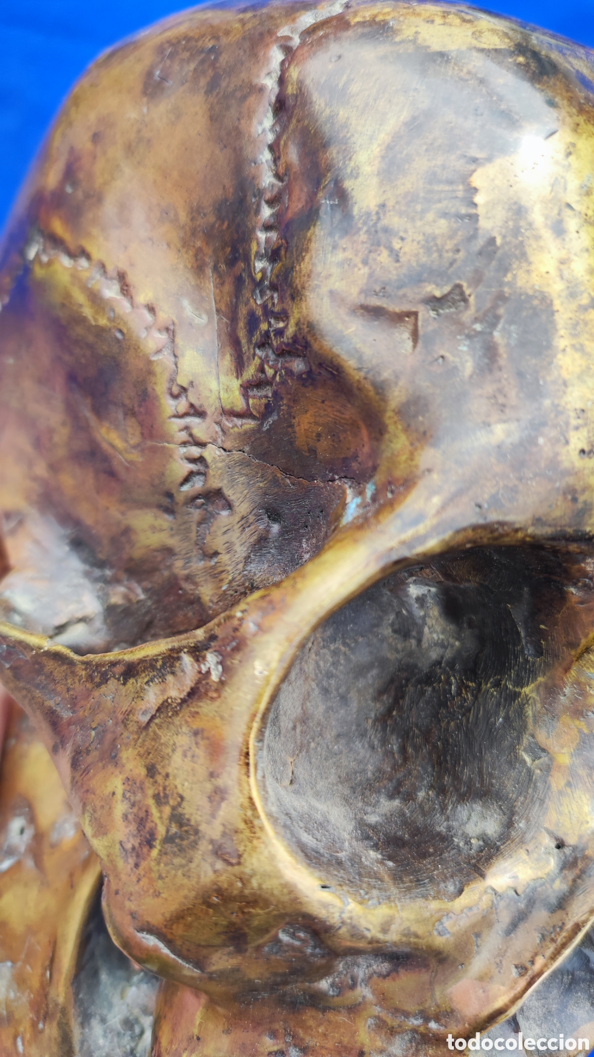 Antig&uuml;edades: Excepcional calavera de bronce - Foto 7