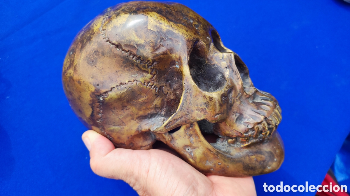 Antig&uuml;edades: Excepcional calavera de bronce - Foto 1