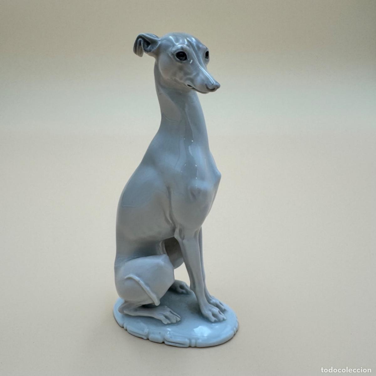 Antig&uuml;edades: Perro porcelana Rosenthal - Foto 1