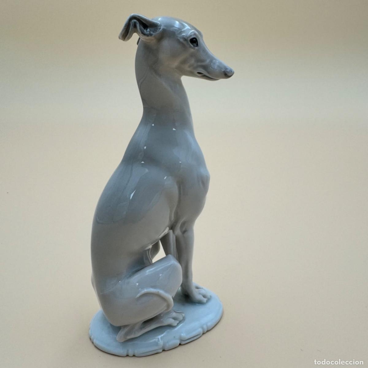 Antig&uuml;edades: Perro porcelana Rosenthal - Foto 2