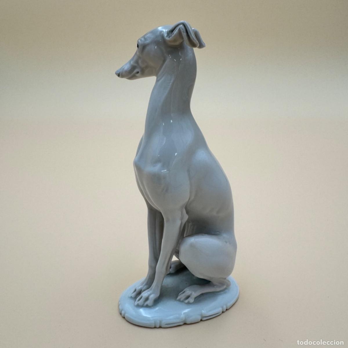 Antig&uuml;edades: Perro porcelana Rosenthal - Foto 3