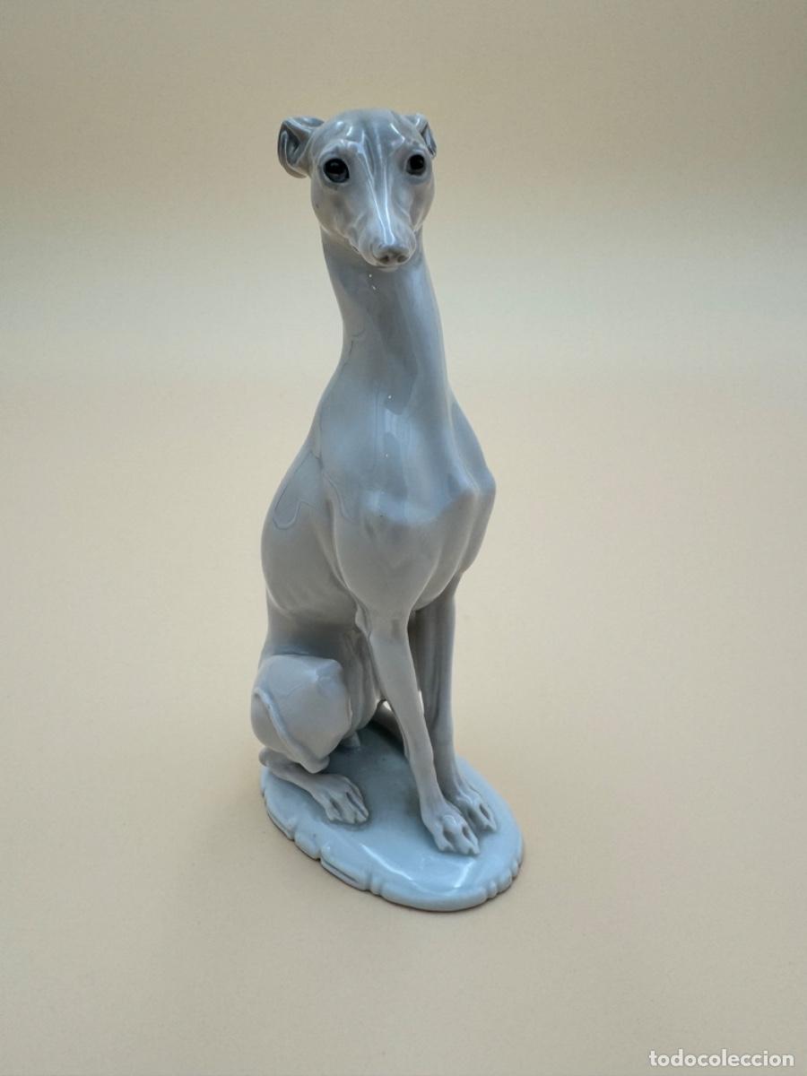 Antig&uuml;edades: Perro porcelana Rosenthal - Foto 4