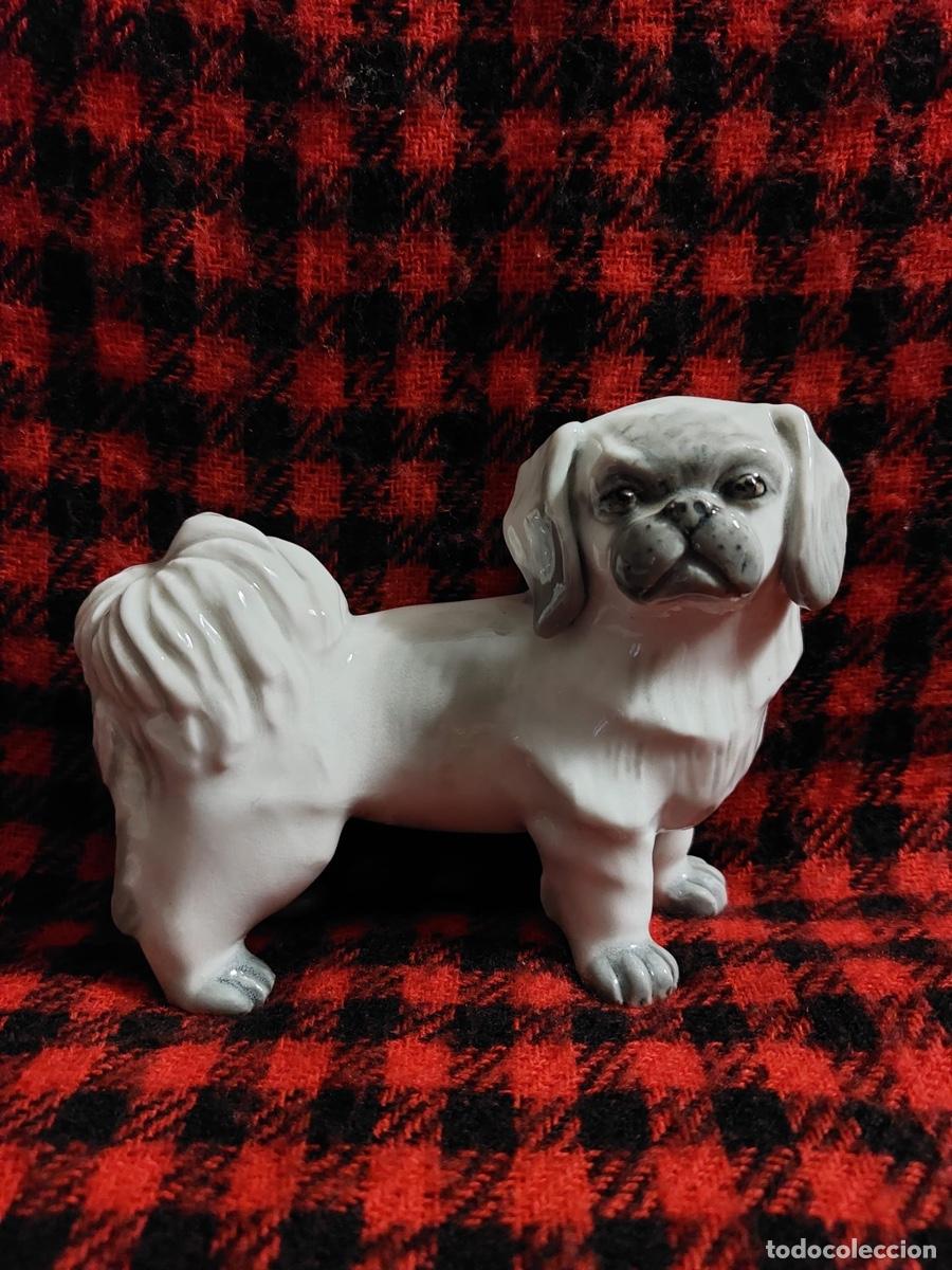 Antig&uuml;edades: figura perro porcelana