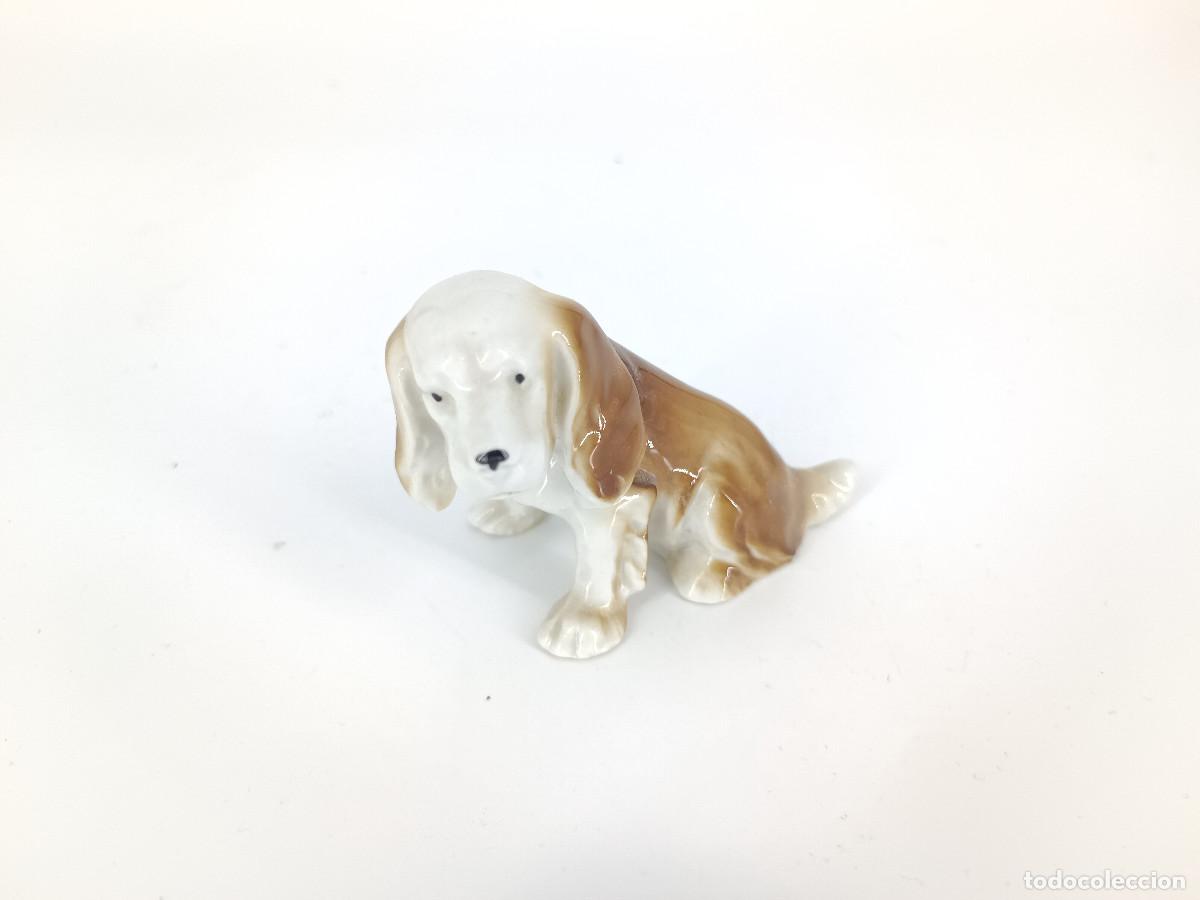 Antig&uuml;edades: Figura de porcelana perro Spaniel - Foto 1