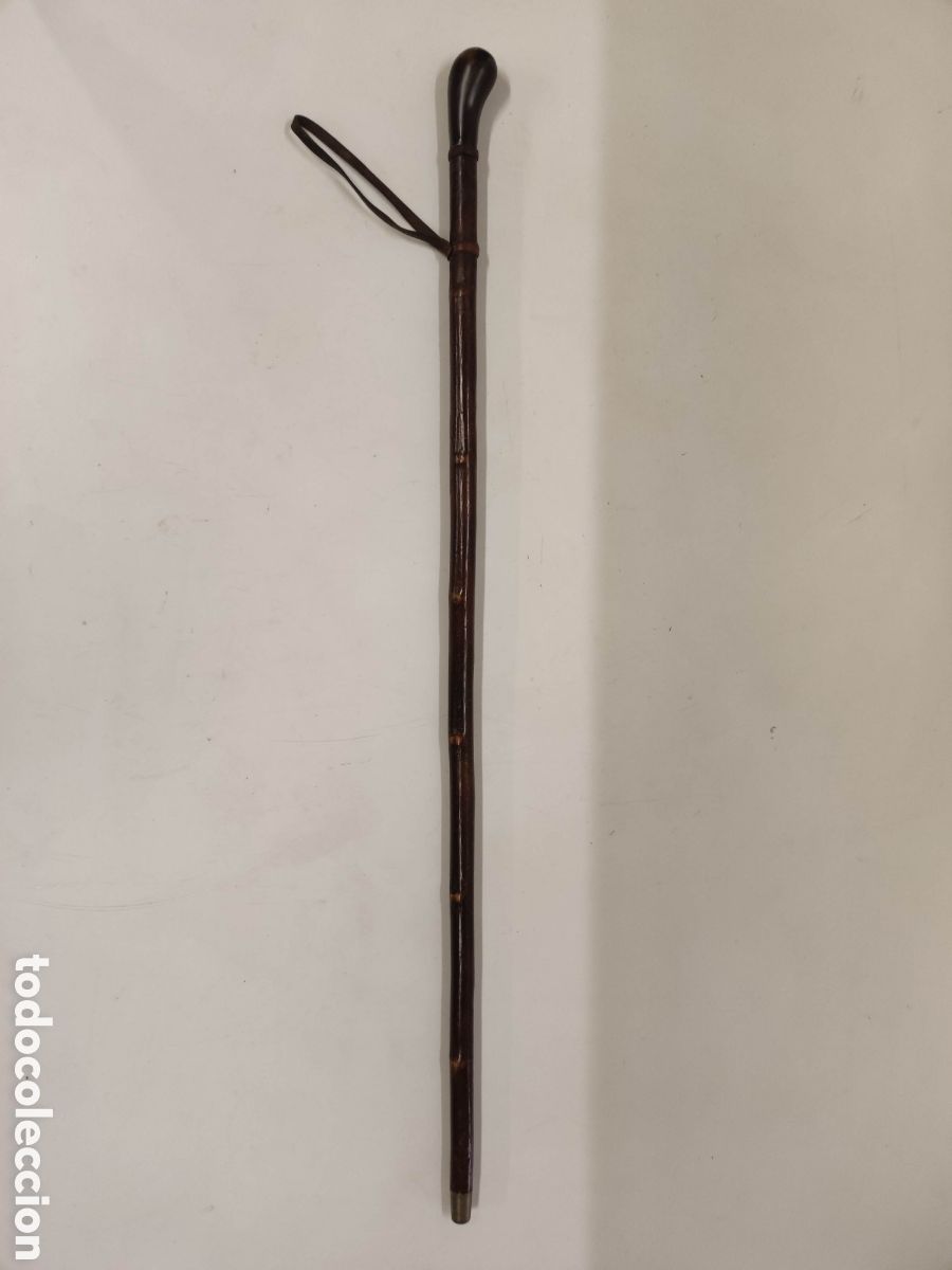 Antig&uuml;edades: Bast&oacute;n cuerno y avellano - Foto 1