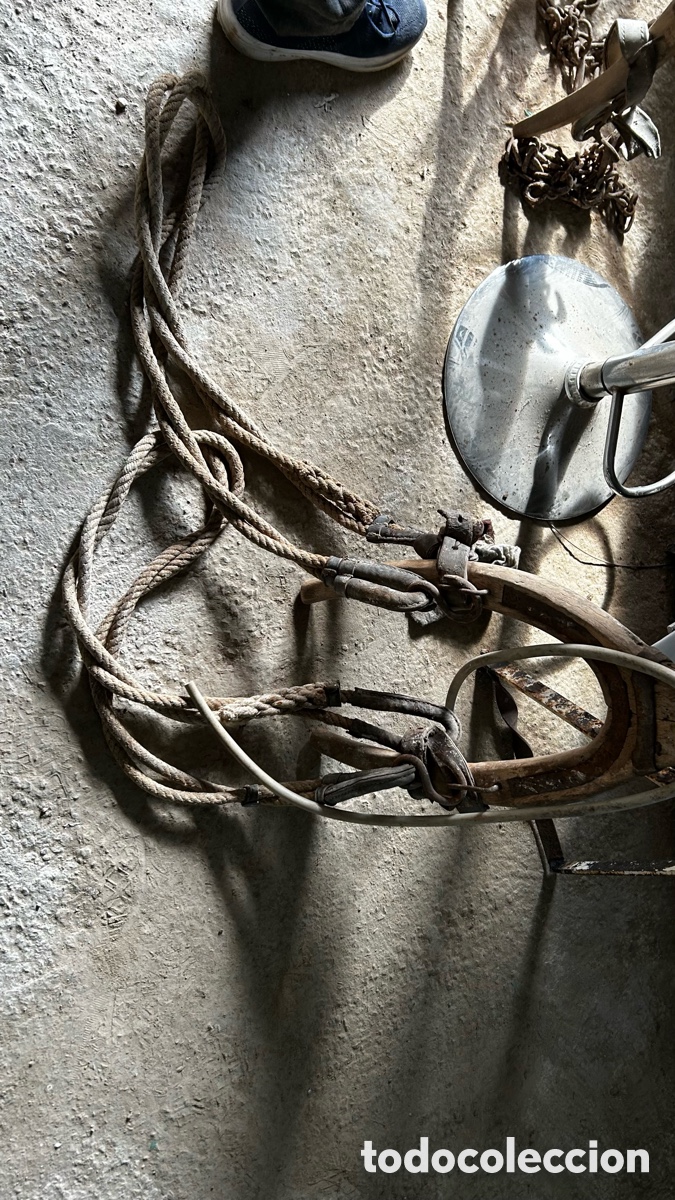 Antig&uuml;edades: Lote aperos y trillos - Foto 9