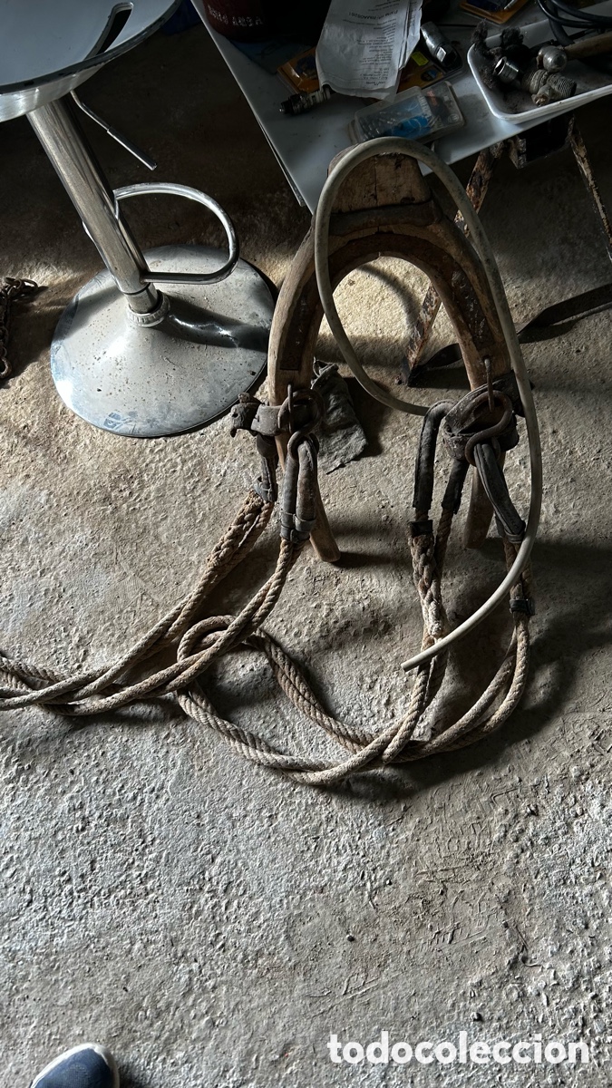 Antig&uuml;edades: Lote aperos y trillos - Foto 10