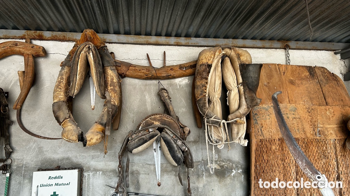 Antig&uuml;edades: Lote aperos y trillos - Foto 17