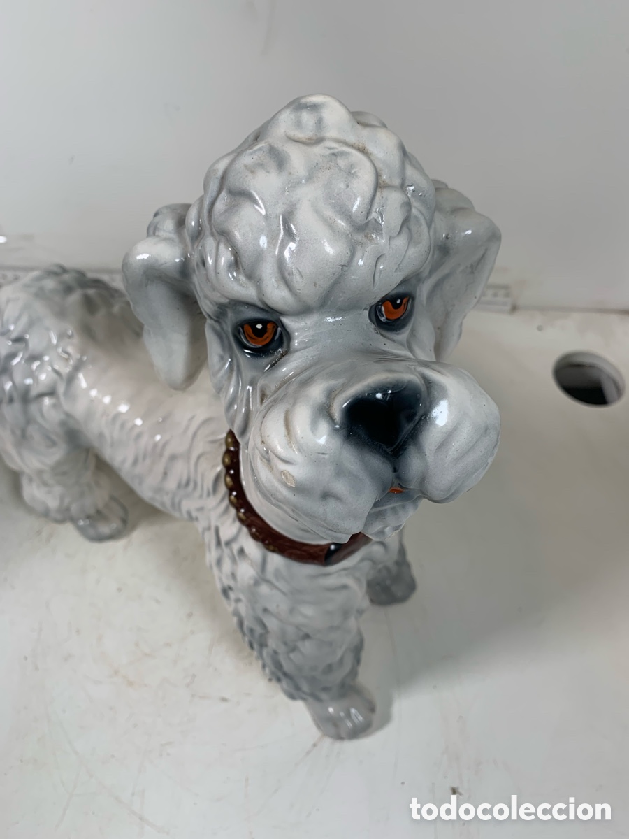Antig&uuml;edades: 01_ Caniche de porcelana - Foto 2