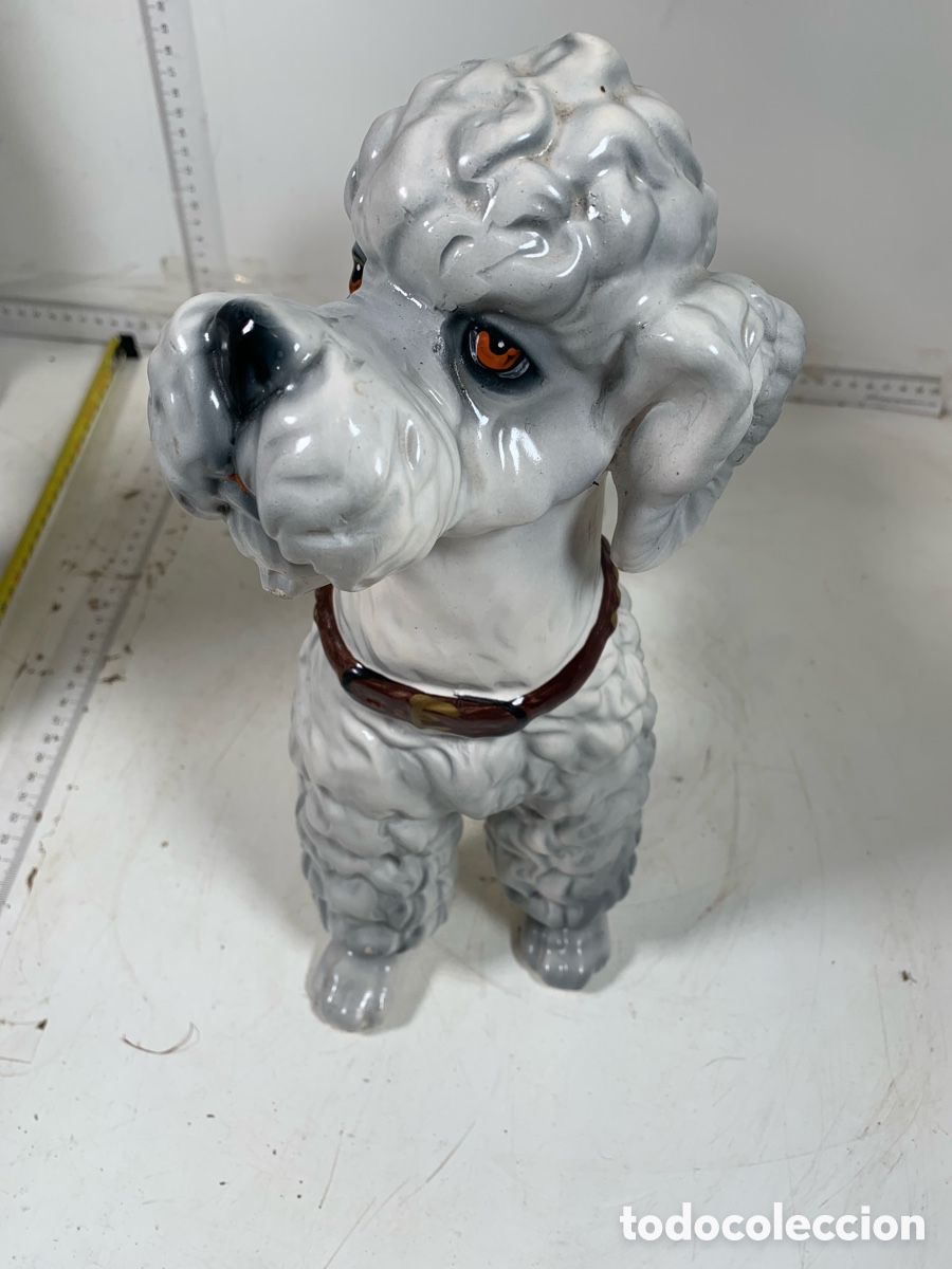 Antig&uuml;edades: 01_ Caniche de porcelana - Foto 4
