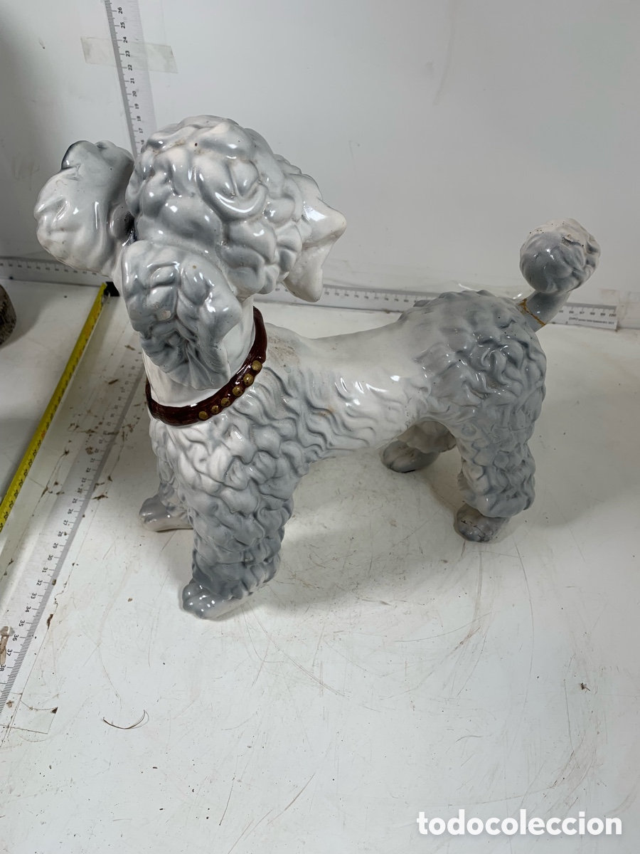 Antig&uuml;edades: 01_ Caniche de porcelana - Foto 5