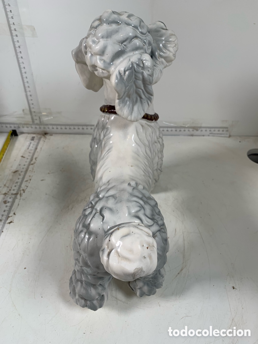 Antig&uuml;edades: 01_ Caniche de porcelana - Foto 8