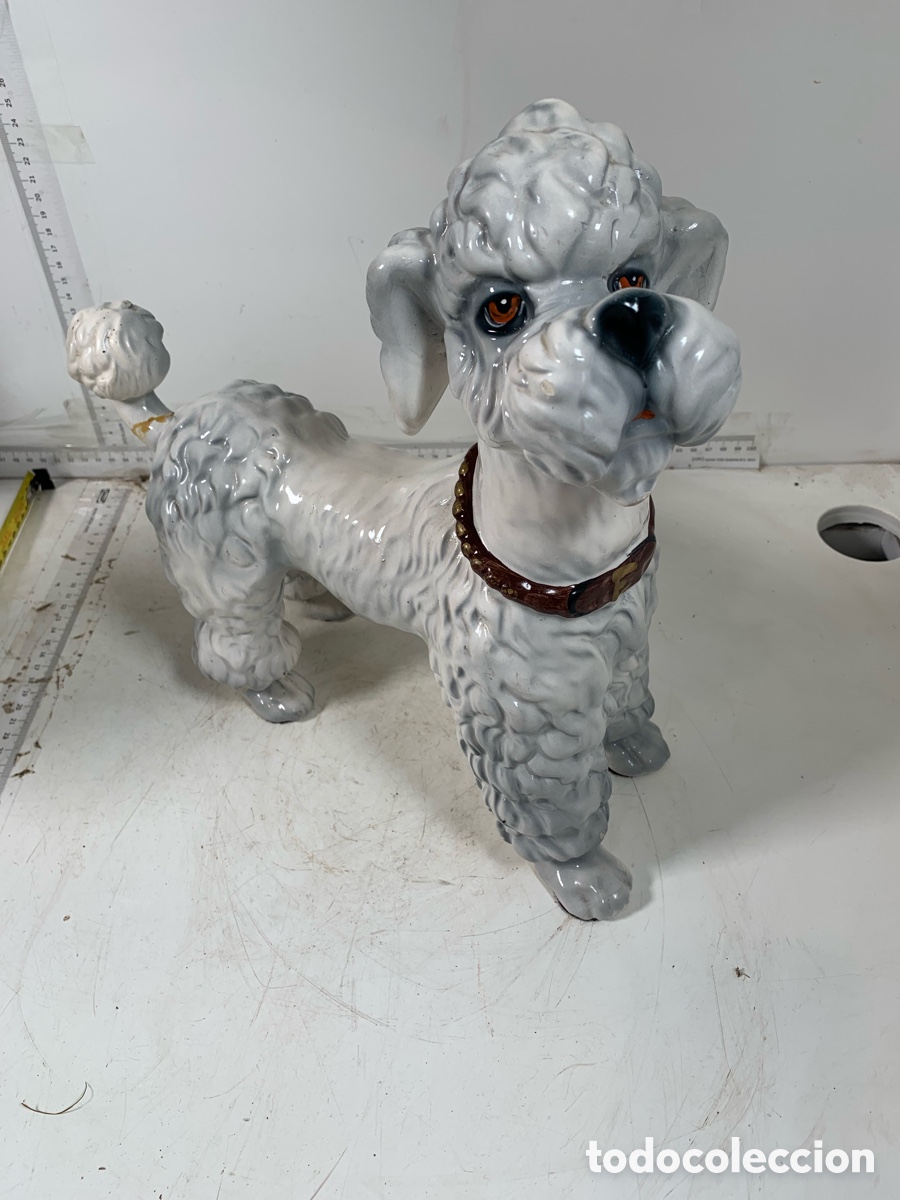 Antig&uuml;edades: 01_ Caniche de porcelana - Foto 1