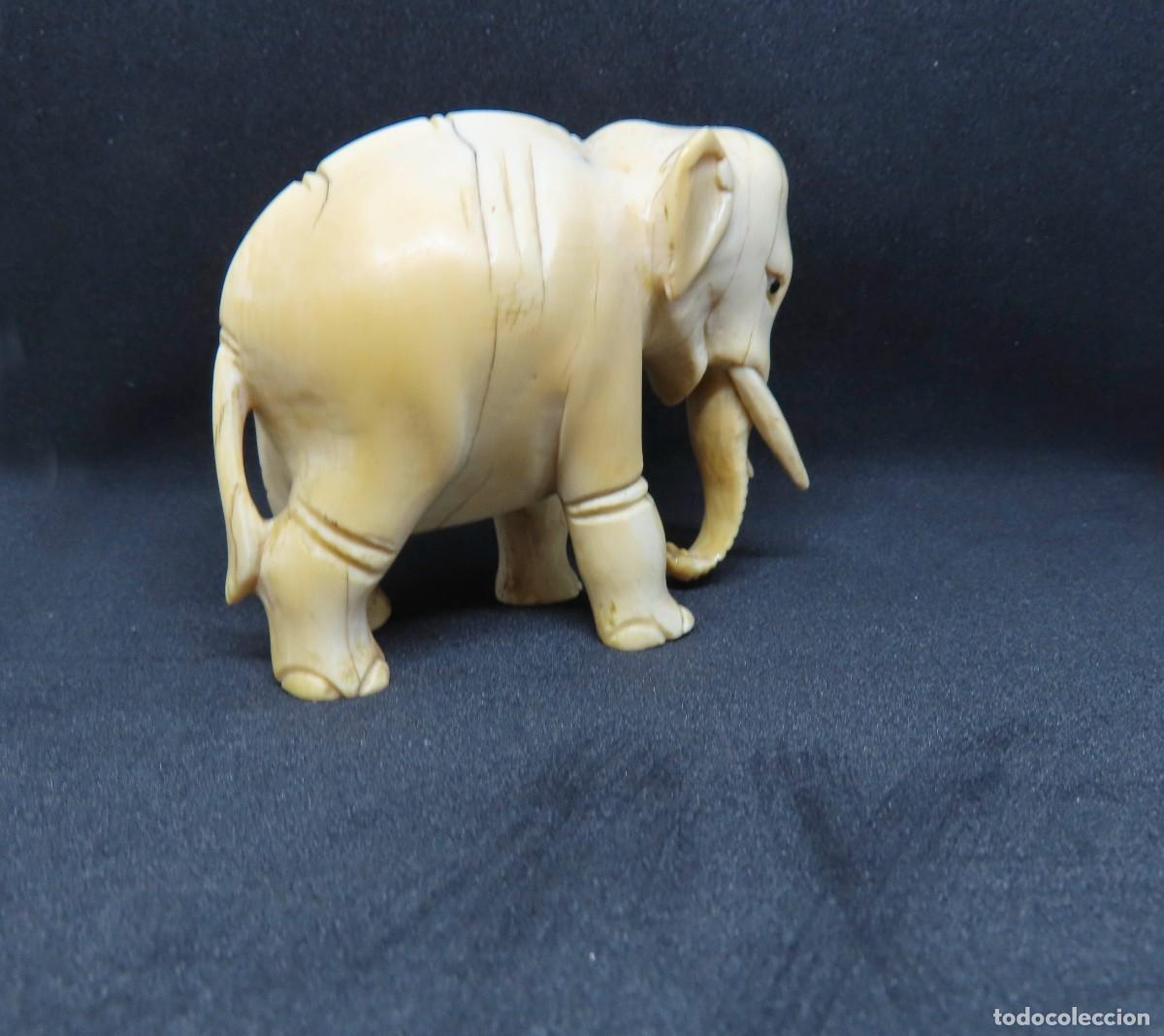 Antig&uuml;edades: Figura de elefante en marfil - Foto 2