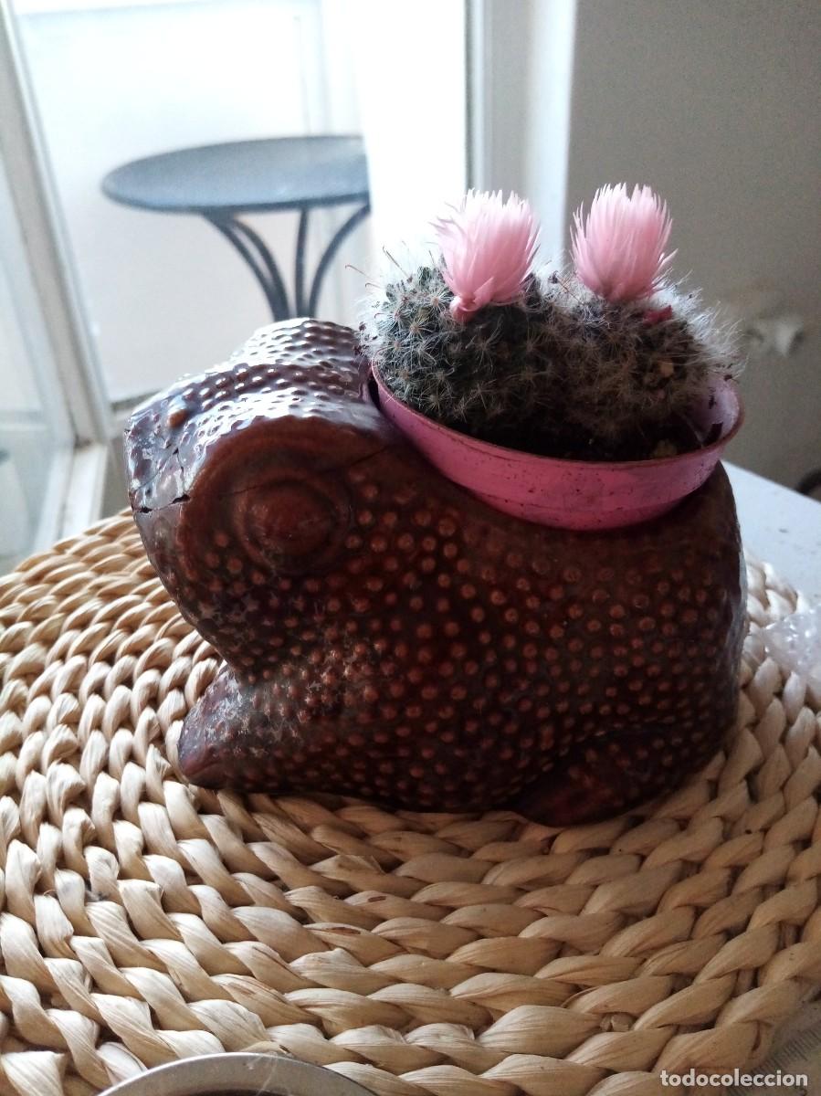 Antig&uuml;edades: Macetero sapo Ceramica para cactus - Foto 2