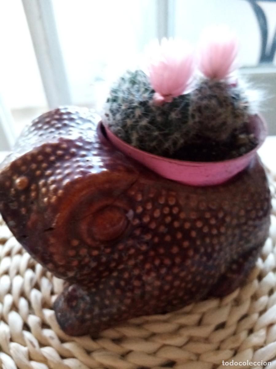 Antig&uuml;edades: Macetero sapo Ceramica para cactus - Foto 3
