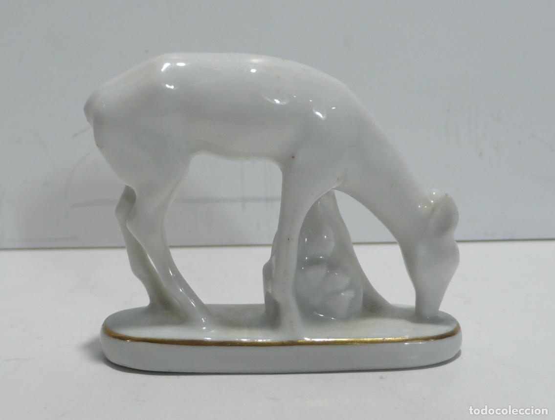 Antig&uuml;edades: PORCELANA - Foto 3