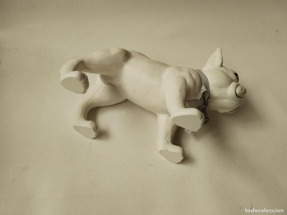Antig&uuml;edades: perro bulldog frances blanco - Foto 5