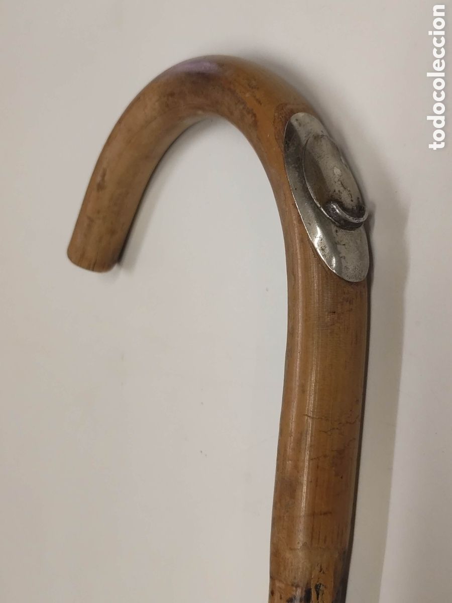 Antig&uuml;edades: Bast&oacute;n Hipo m&eacute;trico - Foto 2
